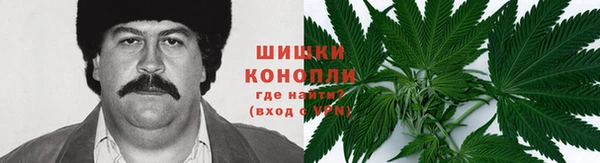 PSILOCYBIN Алексин